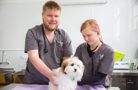 Vet-Nursing-Assistant-11.jpg